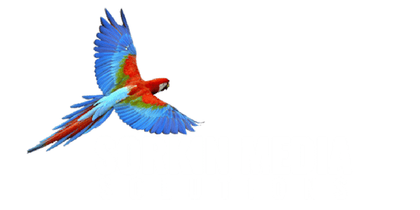 Sorkin Media Solutions